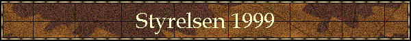 Styrelsen 1999