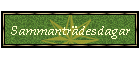 Sammantr�desdagar