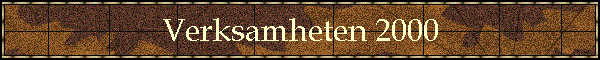 Verksamheten 2000