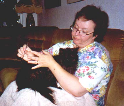 bada4.jpg (27536 bytes)